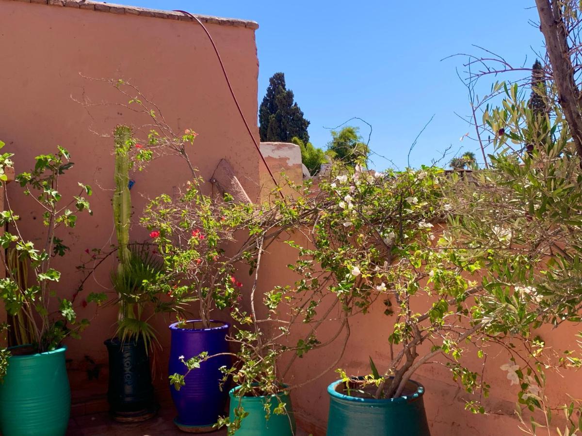 Dar Zemrane Hotel Marrakesh Ngoại thất bức ảnh
