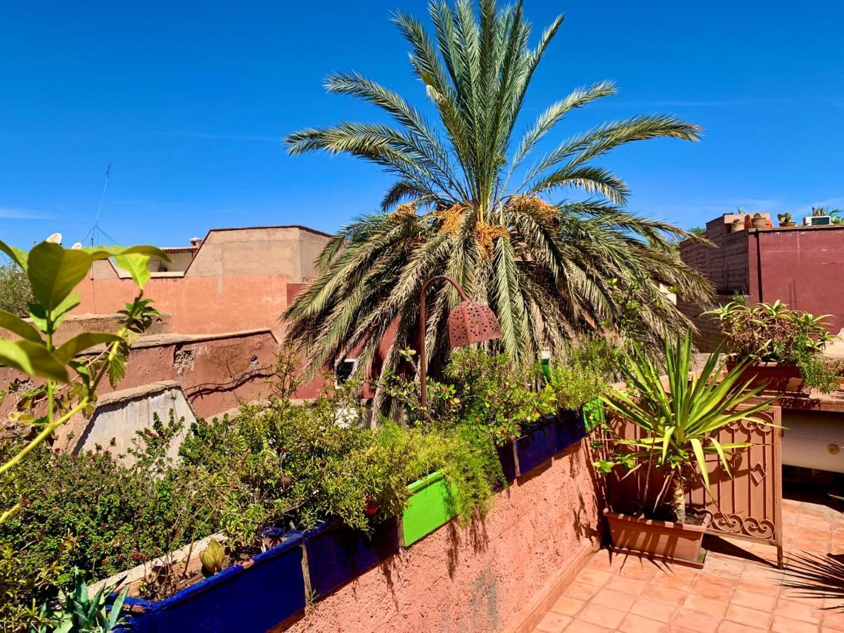 Dar Zemrane Hotel Marrakesh Ngoại thất bức ảnh