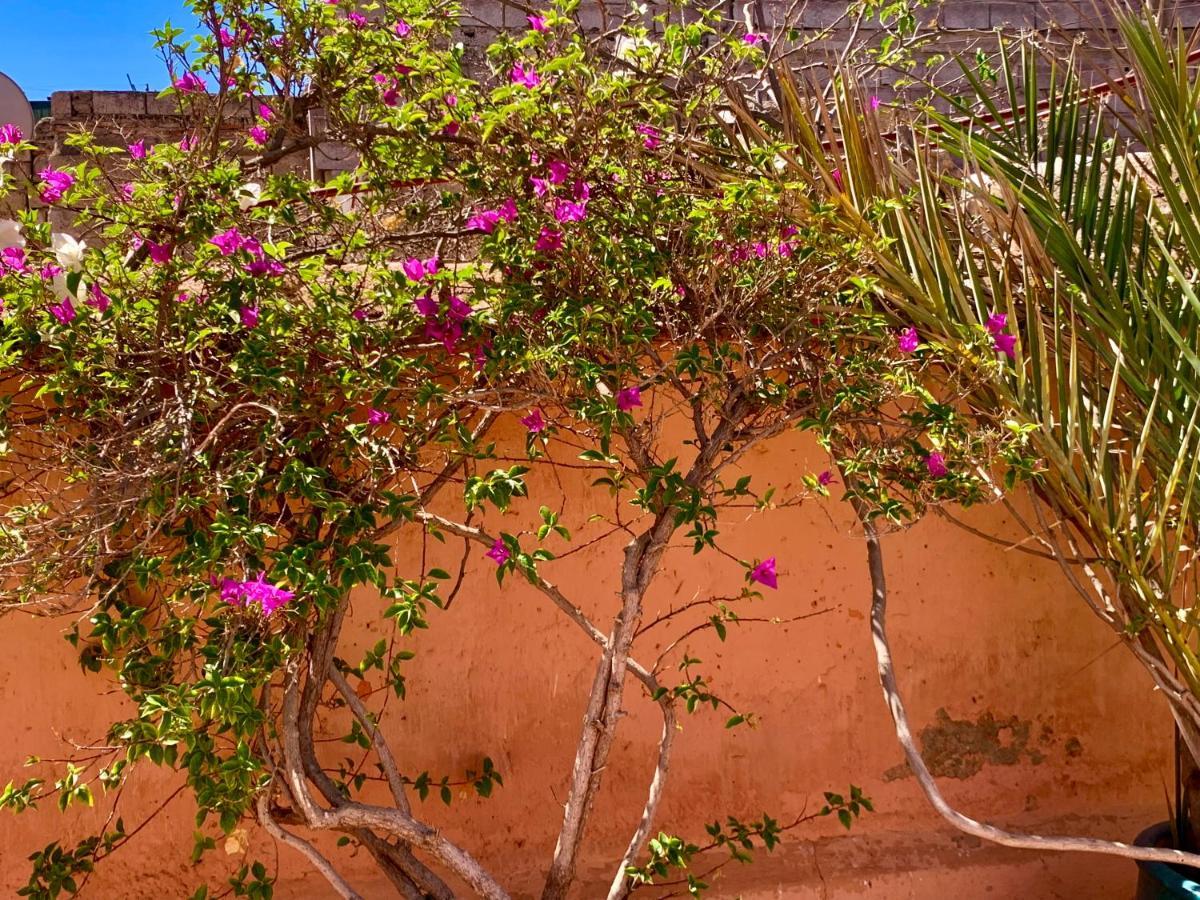 Dar Zemrane Hotel Marrakesh Ngoại thất bức ảnh