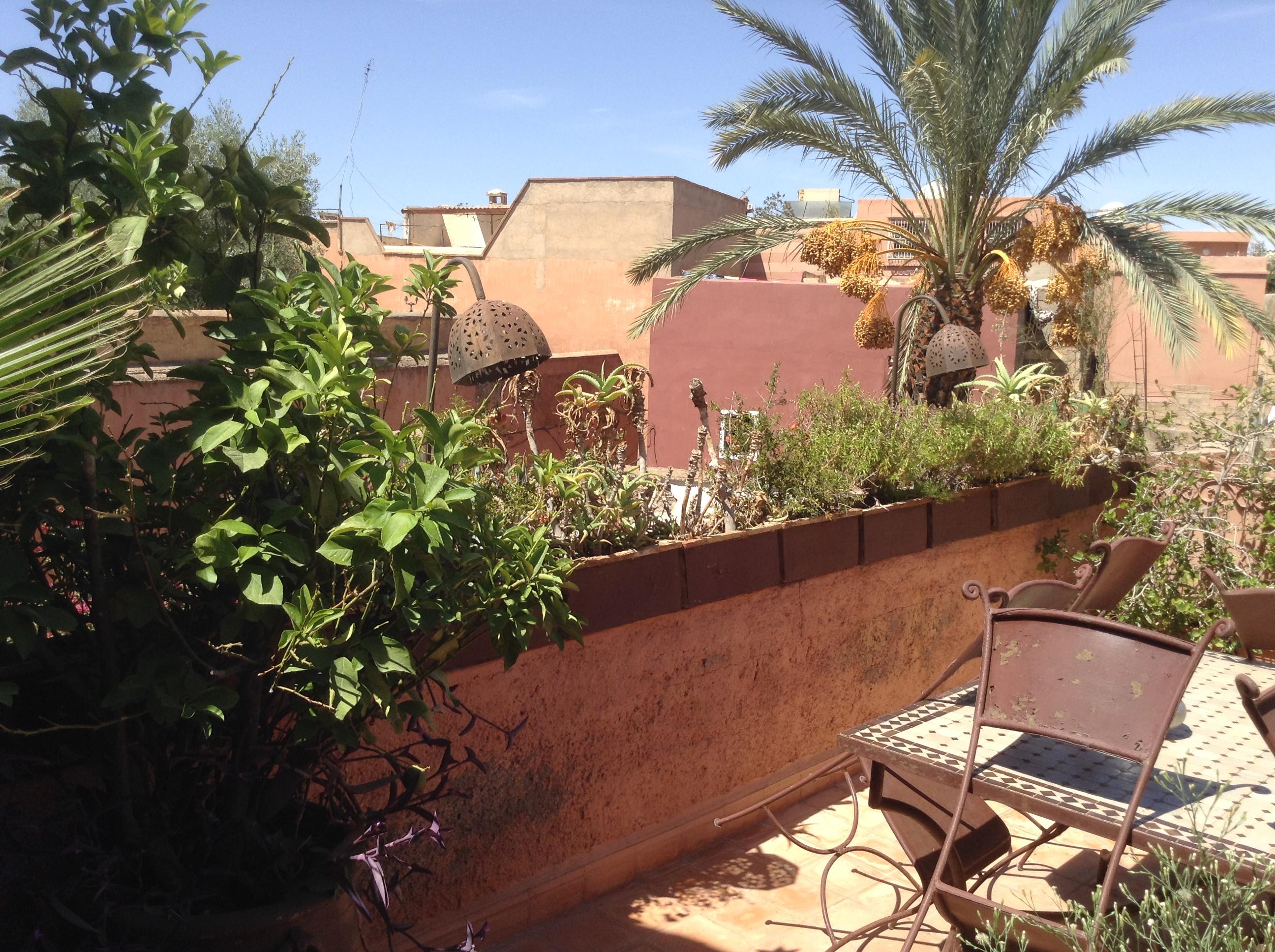 Dar Zemrane Hotel Marrakesh Ngoại thất bức ảnh