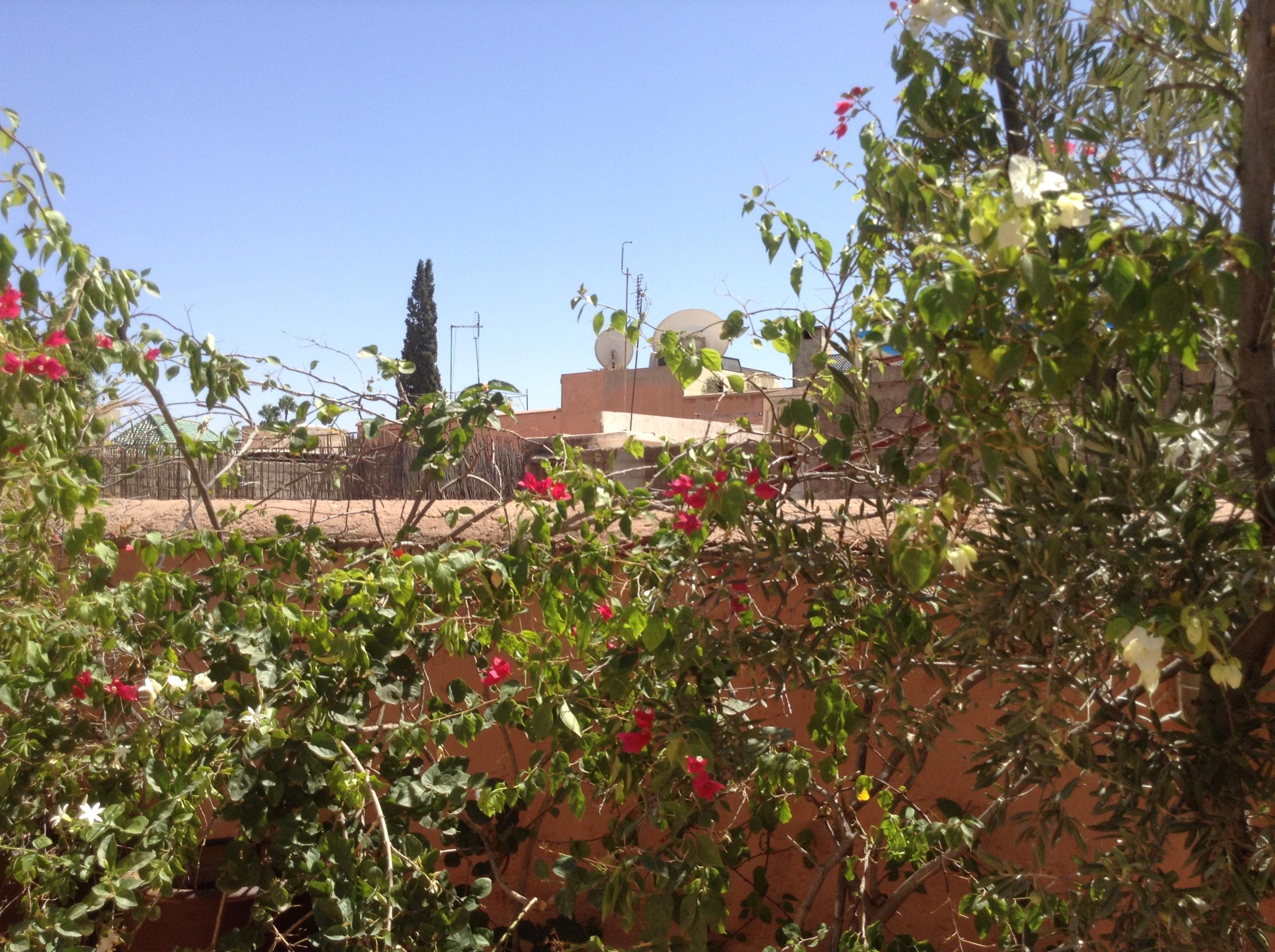 Dar Zemrane Hotel Marrakesh Ngoại thất bức ảnh